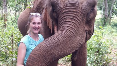 elephant camp mondulkiri