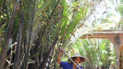 1 day mekong delta tour